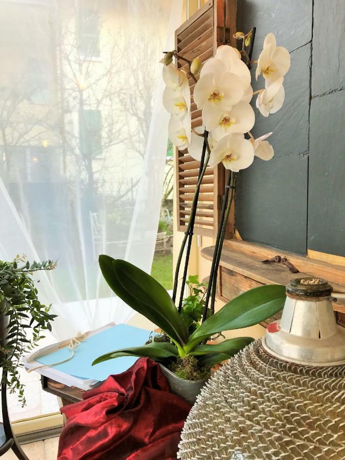 La Casa Di Gabri Bed & Breakfast Iseo Bagian luar foto