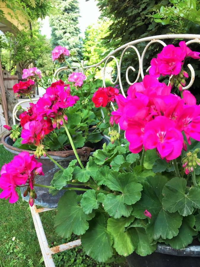 La Casa Di Gabri Bed & Breakfast Iseo Bagian luar foto
